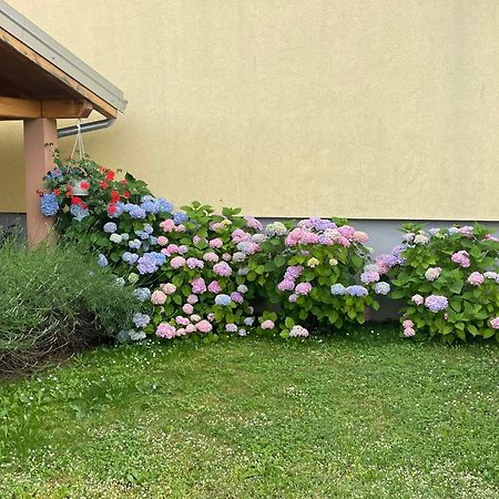 Apartments Dora Пореч Экстерьер фото