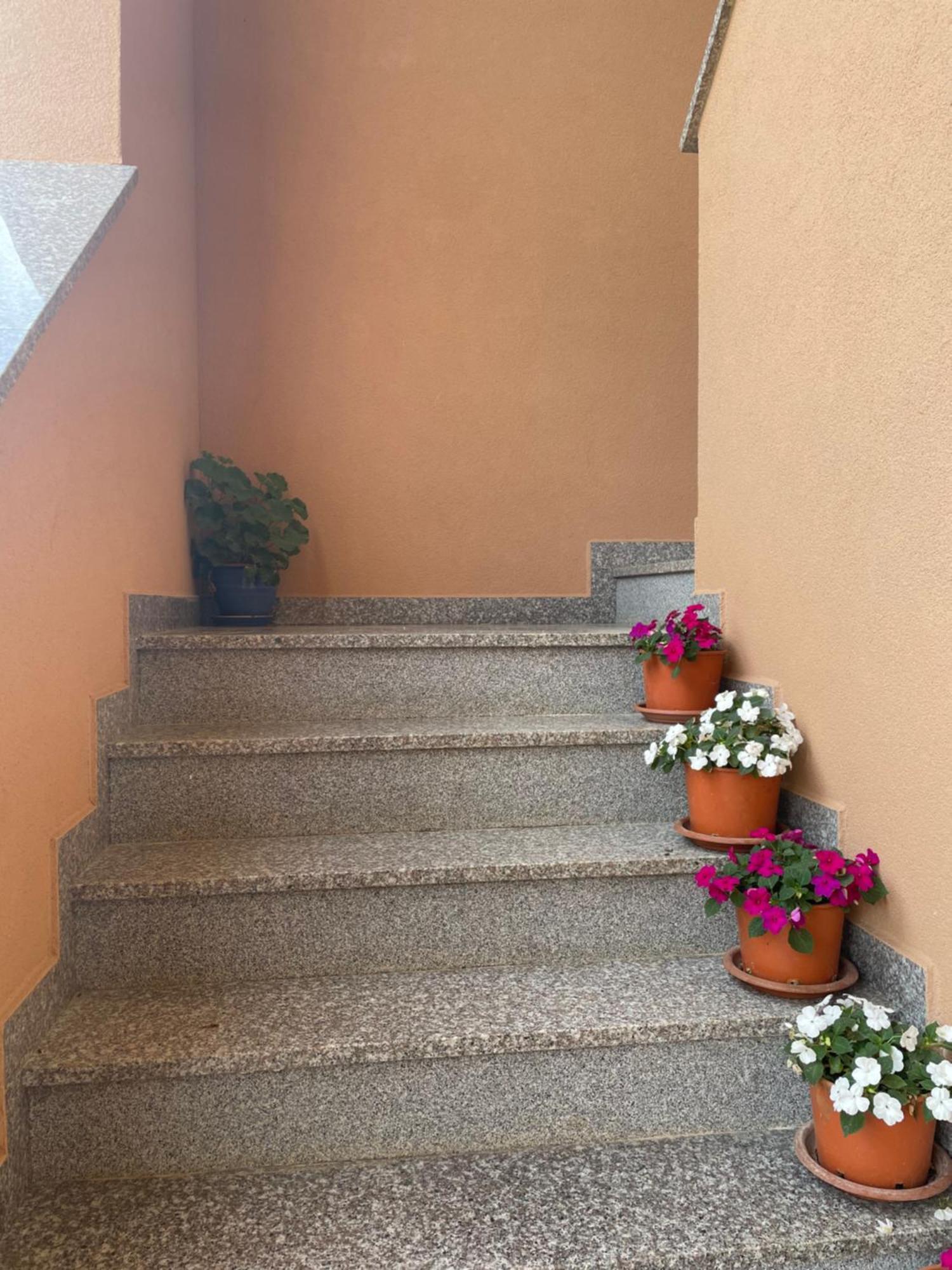 Apartments Dora Пореч Экстерьер фото